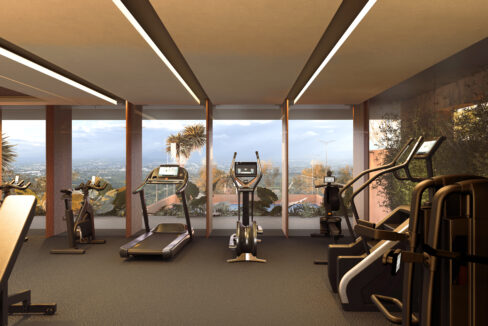 17_GYM