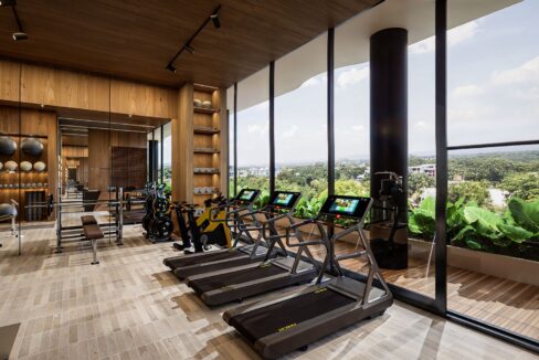 WhatsApp Image 2025-09-26 at 3.42.14 PM (2)