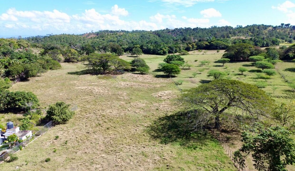 WhatsApp Image 2026-01-22 at 7.12.18 PM (2)