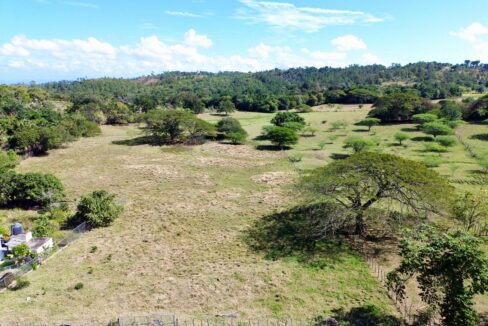 WhatsApp Image 2026-01-22 at 7.12.18 PM (2)