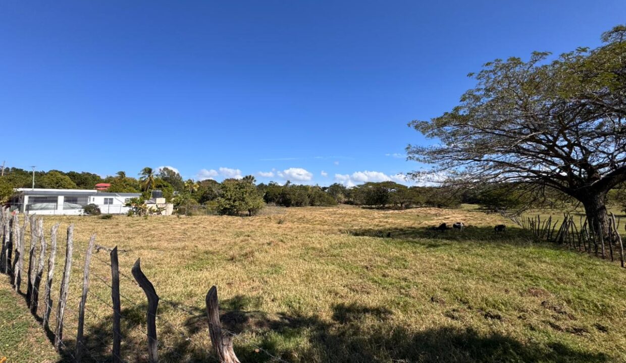 WhatsApp Image 2026-01-22 at 7.12.18 PM (3)