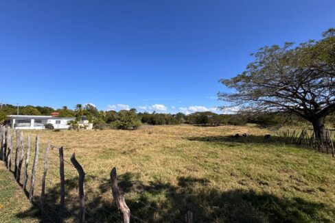 WhatsApp Image 2026-01-22 at 7.12.18 PM (3)