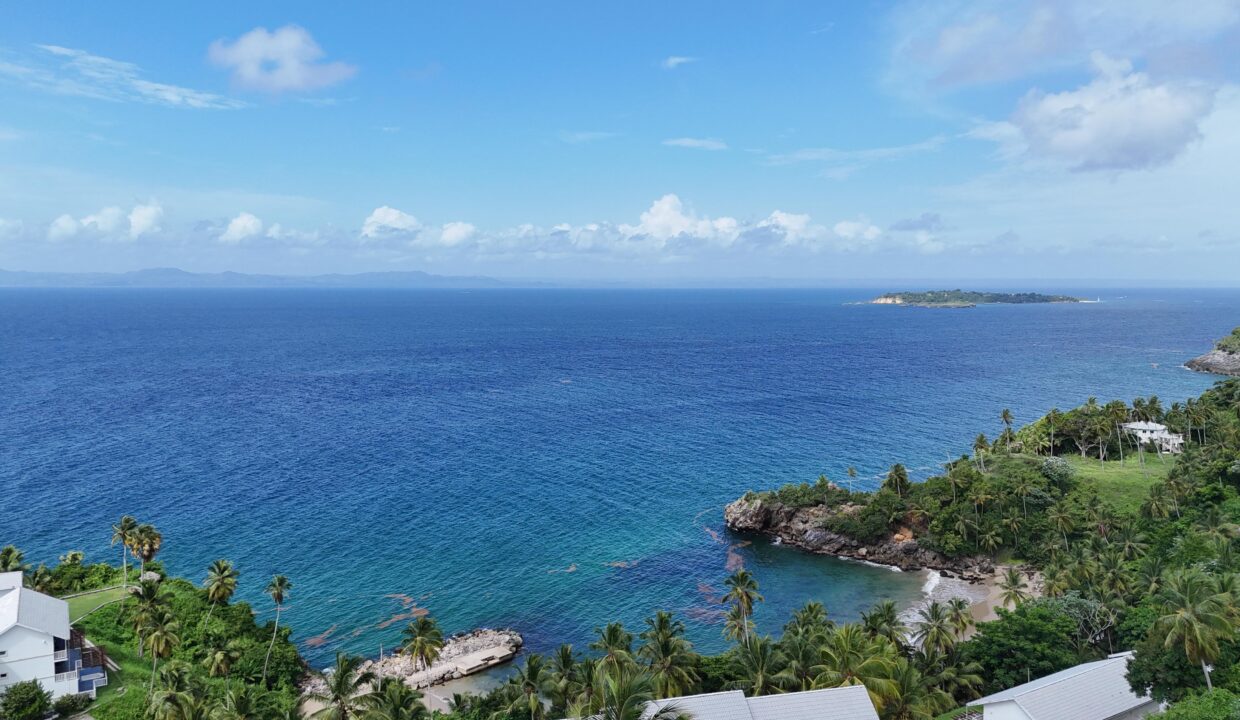 WhatsApp Image 2026-01-24 at 12.19.31 (1)