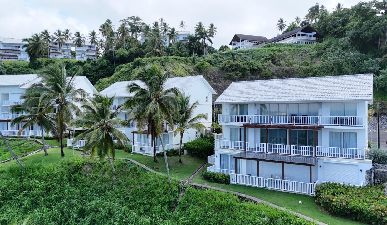 WhatsApp Image 2026-01-24 at 12.19.34