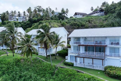 WhatsApp Image 2026-01-24 at 12.19.34