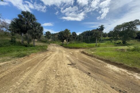 WhatsApp Image 2026-01-24 at 8.35.41 PM (5)