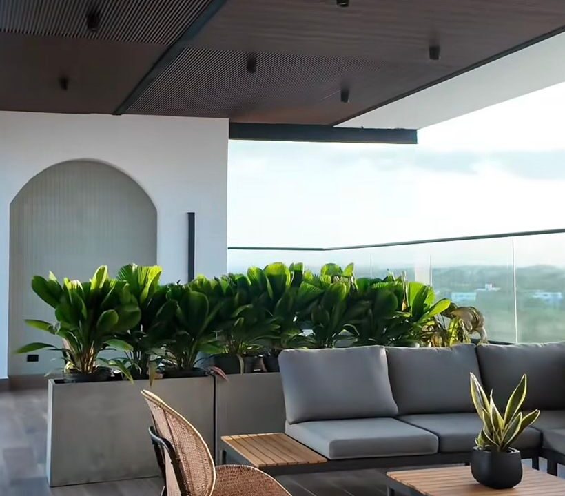 WhatsApp Image 2026-01-27 at 10.57.58 PM (1)