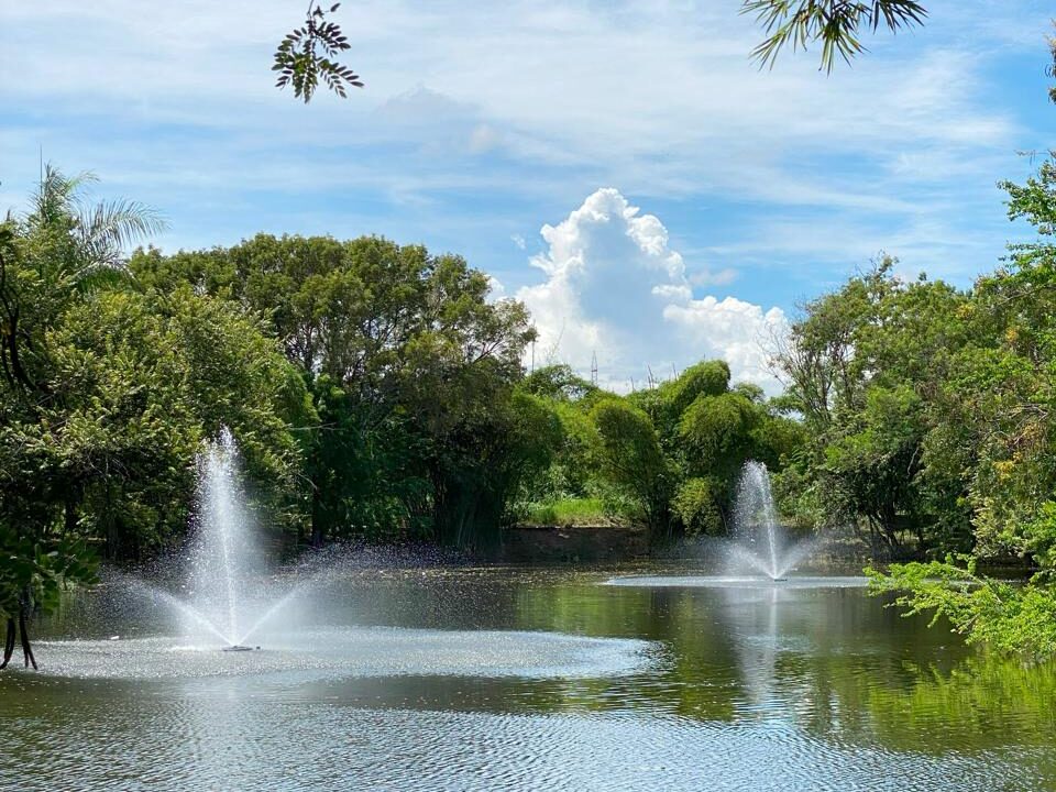 WhatsApp Image 2025-01-08 at 4.29.25 PM (3)