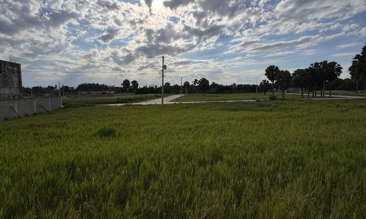 WhatsApp Image 2026-04-25 at 6.28.14 PM