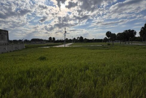 WhatsApp Image 2026-04-25 at 6.28.14 PM